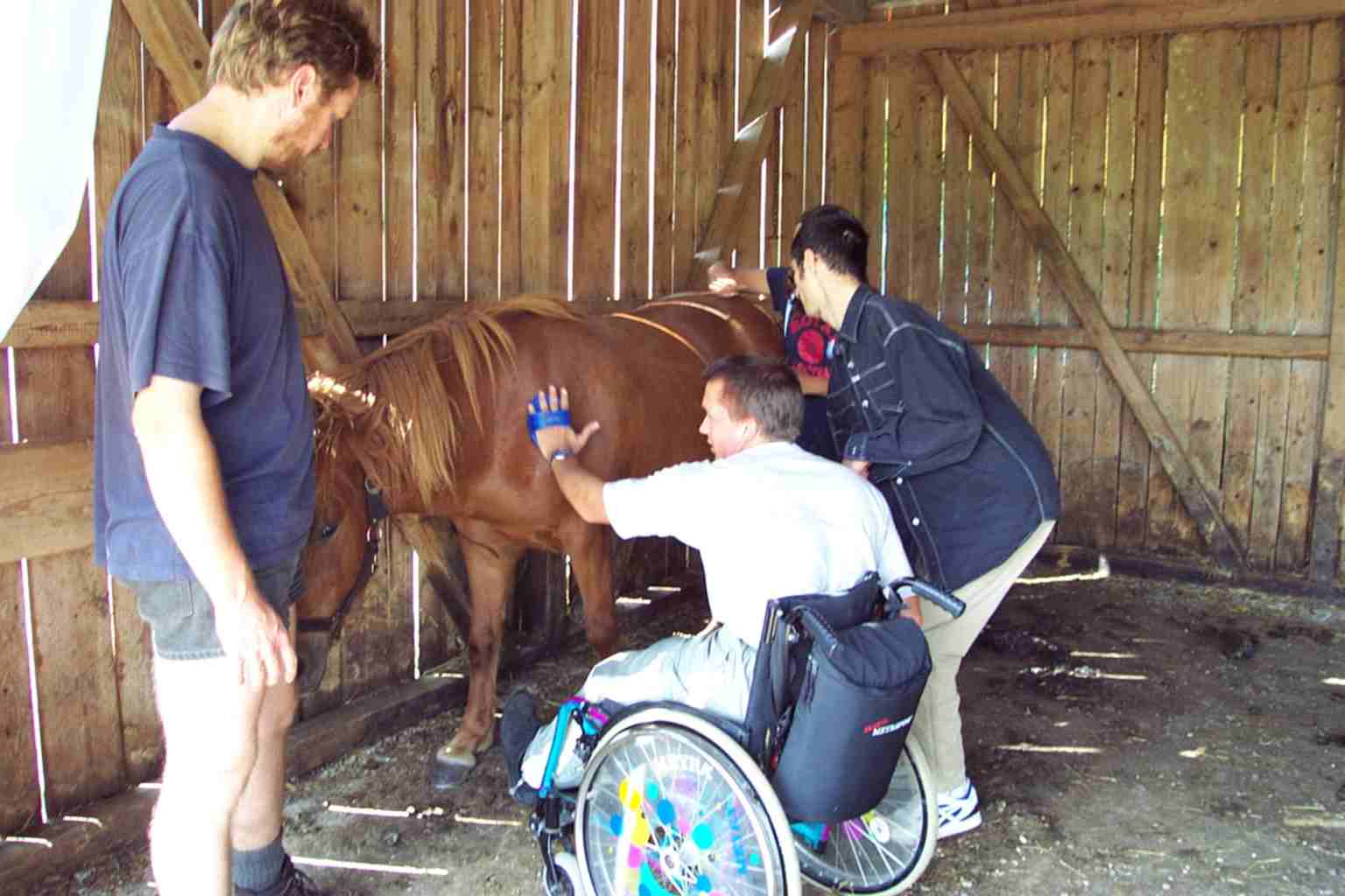 Heilp�dagogisches Reiten